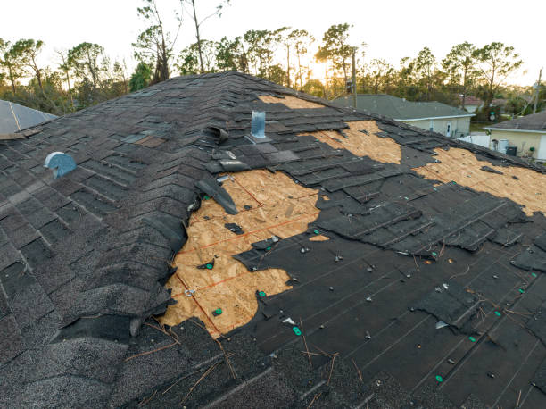Best Roof Ventilation Installation  in Big Pine, CA
