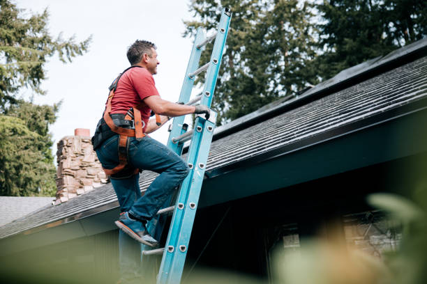 Best Metal Roofing Installation  in Big Pine, CA