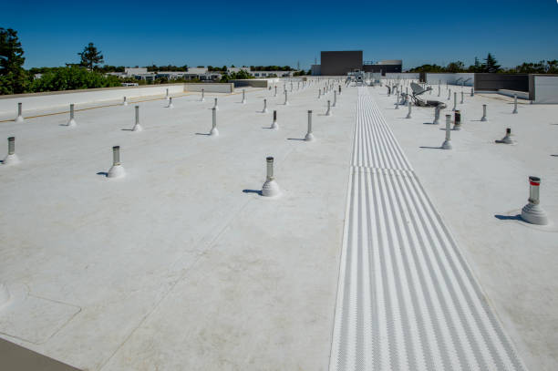 Best Roof Maintenance and Cleaning  in Big Pine, CA